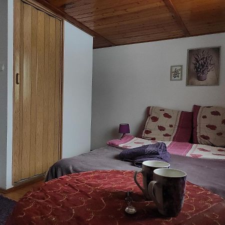 Home Stay Slotwinska 克雷尼察 外观 照片