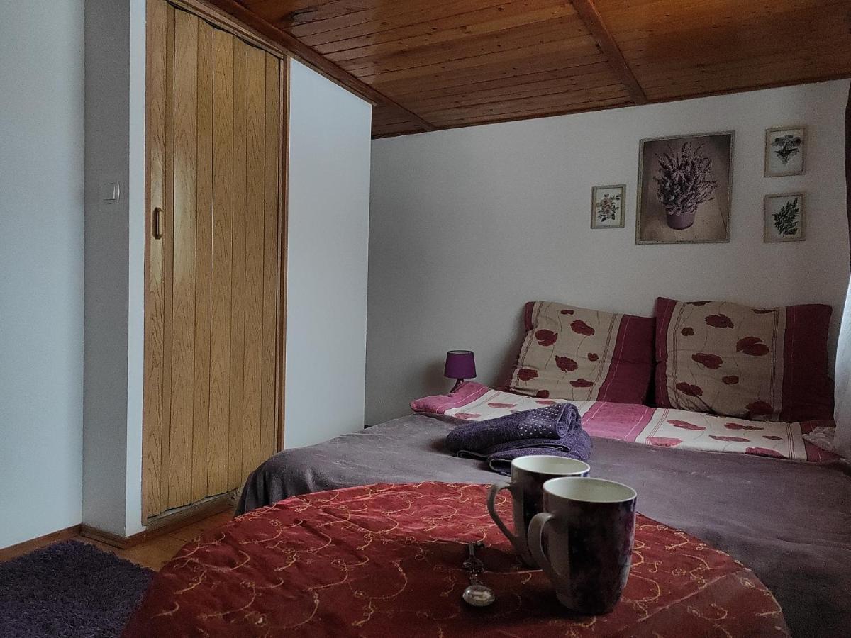 Home Stay Slotwinska 克雷尼察 外观 照片