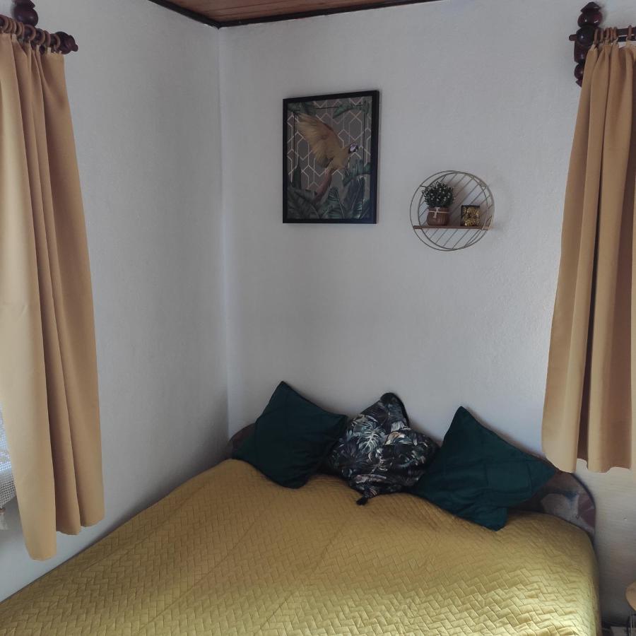 Home Stay Slotwinska 克雷尼察 外观 照片